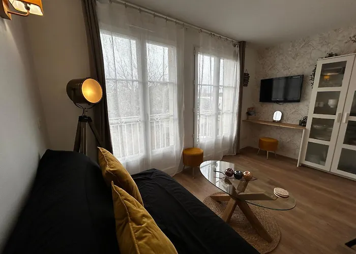 Luminosité Et Confort à 200m Des Thermes! Avec Wifi, Piscine Et Parking Privé. - Fr-1-541-169 *