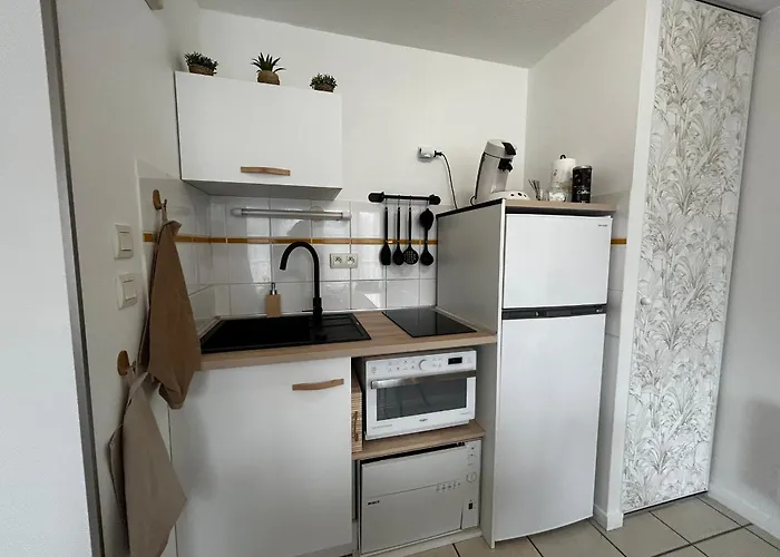 Apartamento Luminosité Et Confort à 200m Des Thermes! Avec Wifi, Piscine Et Parking Privé. - Fr-1-541-169 La Roche-Posay